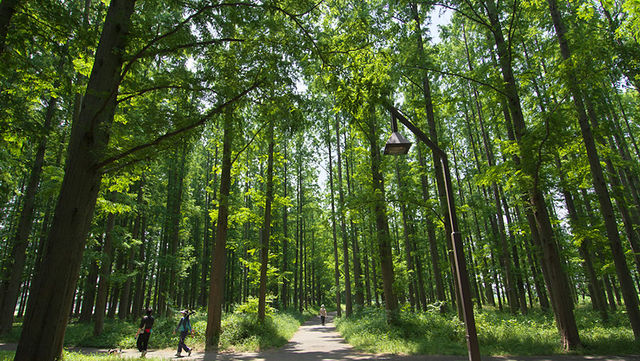東京にもこんなに自然があるの 癒し効果バツグン 都内の公園まとめ8選 Antenna アンテナ
