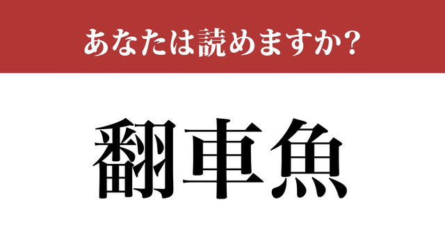 難読漢字 翻車魚 って読めますか 意外と難しい Antenna アンテナ