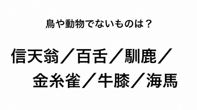 動物漢字 きんしすずめ ではありません 金糸雀 は何と読む Antenna アンテナ