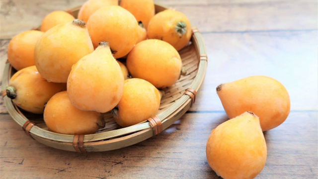 古くからの言い伝え ビワの木は縁起が悪い は本当 Antenna アンテナ