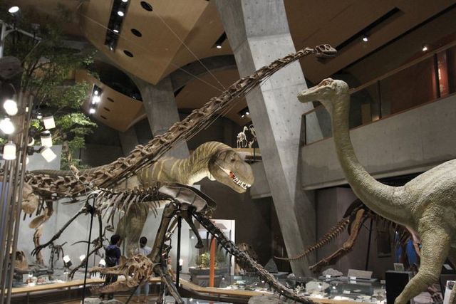 博物館編 恐竜や遺跡も 埼玉 群馬 絹の道 周辺のドライブスポット Antenna アンテナ