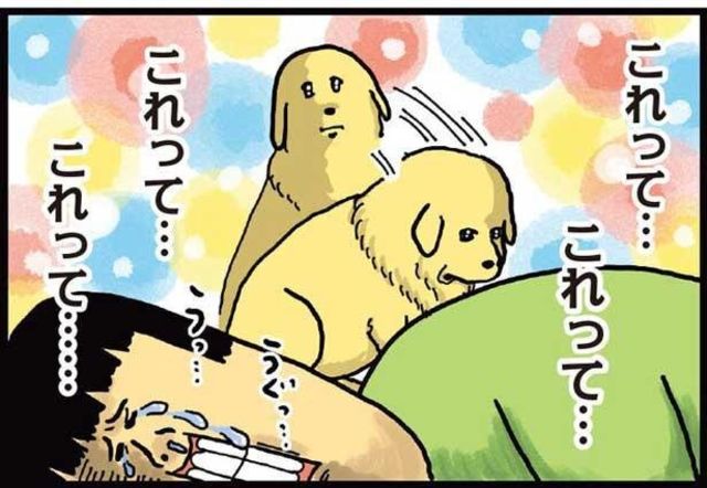 食べていい 犬の圧がスゴイ まめきちまめこニートの日常 こまちとタビ 2 Antenna アンテナ