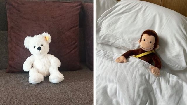お気に入りのぬいぐるみを連れ回す猫 洗濯したらどうなる 洗ったあとの反応に注目が集まる Antenna アンテナ