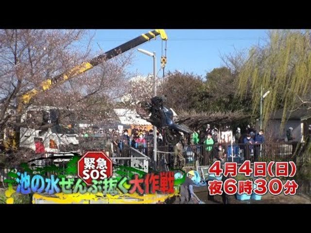 緊急ｓｏｓ 池の水ぜんぶ抜く大作戦スペシャル Antenna アンテナ