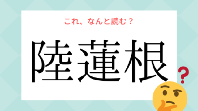 陸蓮根 ってなんの野菜 りくれんこん とは読みません 今 とってもおいしい時期です Antenna アンテナ