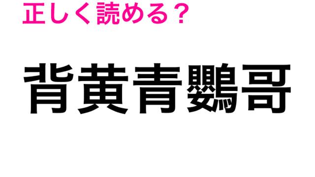 背黄青鸚哥 って読める ペットとして人気の超有名な鳥の名前 Antenna アンテナ