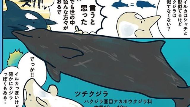 最強に見えるホッキョクグマもシャチの前では 海のどうぶつが可愛すぎて 6 Antenna アンテナ