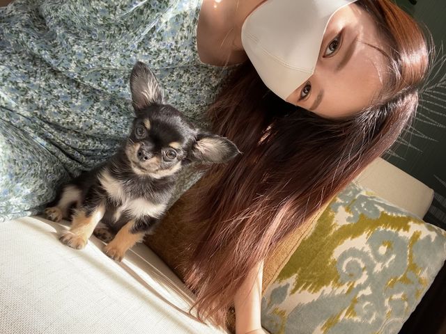 我が家のペット 愛犬まるちゃんお誕生日を迎えました Antenna アンテナ