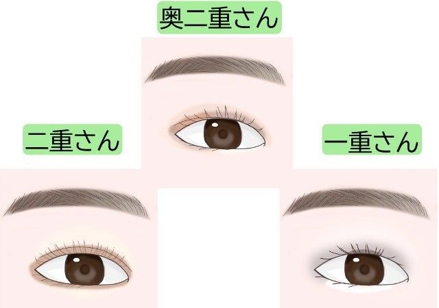 目の形で似合うアイメイクは違います 一重 奥二重 二重別 基本のアイシャドウの塗り方 Antenna アンテナ