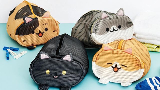 ツチノコ そっくりな猫のポーズ それは香箱座りの進化版だった Antenna アンテナ