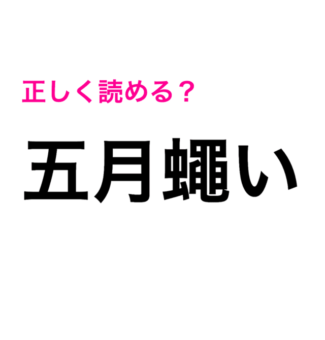 難しさのレベルがえぐいわ 想像もつかない 五月蠅い の読み方は 読めたらスゴい漢字 Antenna アンテナ