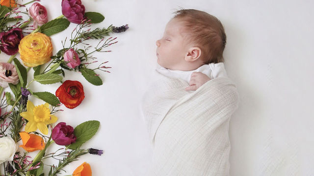 おうちで撮ろう セルフでできるフラワーニューボーンフォトのすゝめ Antenna アンテナ