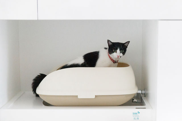 猫のトイレの臭い・処理・健康チェックが全部解決！業界初の猫専用 