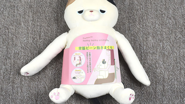 キュートなクッションが猫背を撃退 Twitterで7 3万 いいね を獲得した 姿勢を守る Mamo レビュー Antenna アンテナ