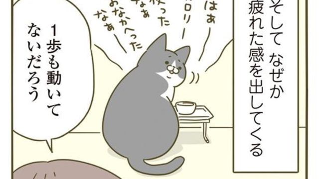 叱ると「ダメだったんですか!?」みたいな顔するシノさん／うちの猫が 