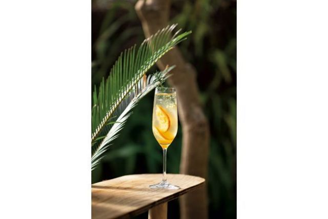 フルーツとワインのハーブカクテル 爽やかドリンクレシピ Antenna アンテナ