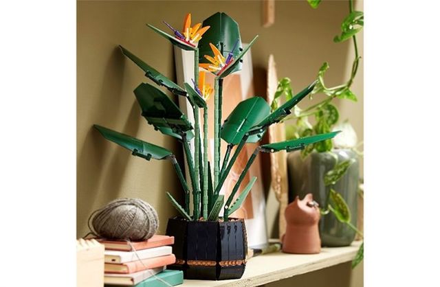 Lego でインテリアグリーン 大人レゴに レゴ ストレリチア が登場 Antenna アンテナ