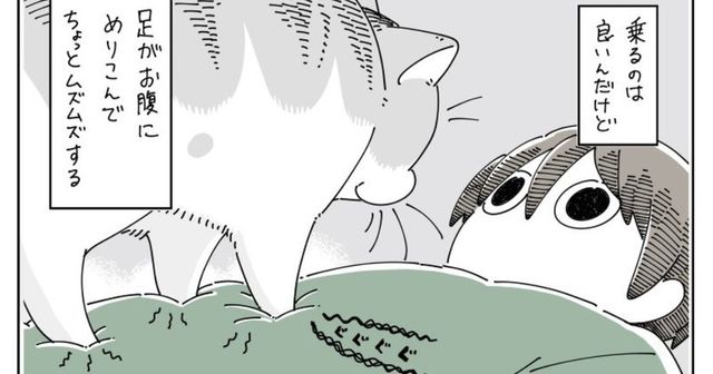 お腹の上に乗ってくる猫を迎え入れたはいいが かたくなに座らない姿に困りつつも癒される Antenna アンテナ