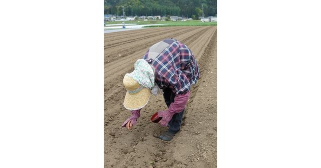 宇賀神拓也 かがむ人 展 野良仕事に励む人々のかがむ姿勢に着目した作品群 Antenna アンテナ