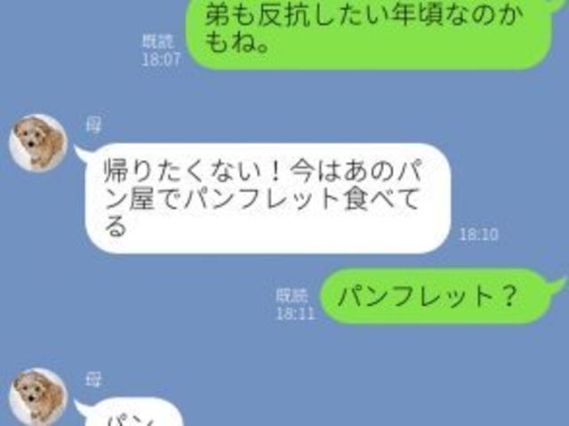 母 パンフレット食べてる え 母の爆笑誤字 誤変換line Antenna アンテナ