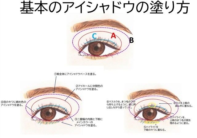 メイク初心者さんも上級者さんも知って損ナシ 基本のアイシャドウの塗り方をプロが解説 Antenna アンテナ
