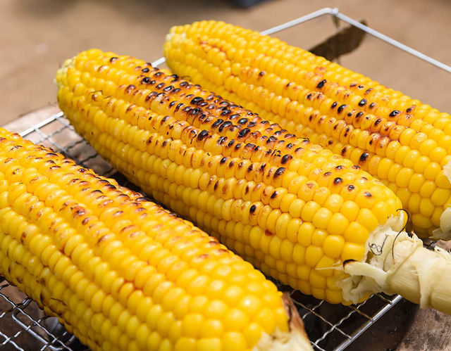 焼きトウモロコシ専用 1990年代に流行った懐かしい品種 キャンベラ を成田市の農家 大竹さんに特別に栽培してもらいました 豊洲市場ドットコム Antenna アンテナ