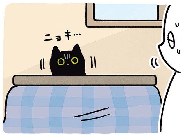 ろんが寝ている時にこっそり部屋を出ようとすると察知され ずっと監視されている 黒猫ろんと暮らしたら3 Antenna アンテナ