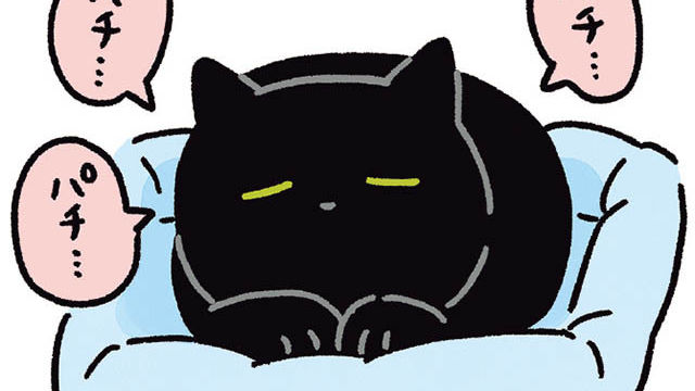 これは愛情表現なのか それとも動作が遅いだけなのか 黒猫ろんと暮らしたら３ Antenna アンテナ