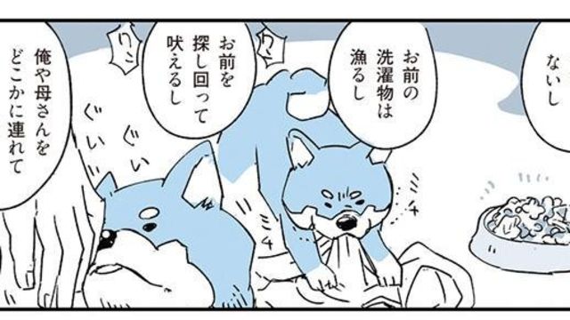 人の言葉が分かるの 出ていった猫が連れてきたのは 動物たちが残した不思議なメッセージ Antenna アンテナ