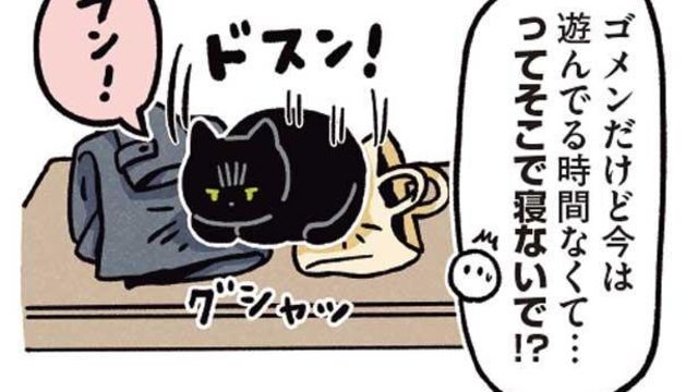 抱っこされてること忘れてない まるで赤ちゃんみたいなねこ 黒猫ろんと暮らしたら３ Antenna アンテナ