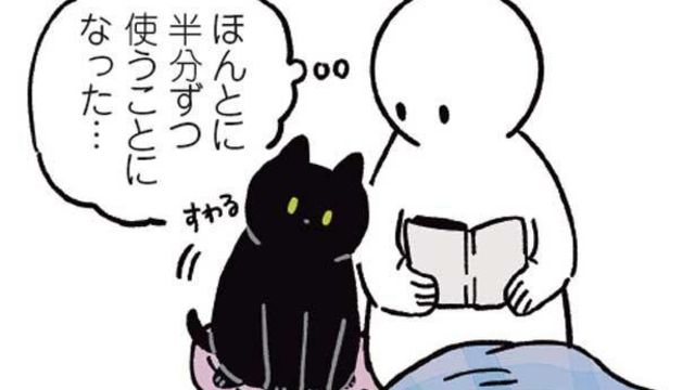 ねこにも はんぶんこ という概念があるんやね 黒猫ろんと暮らしたら３ Antenna アンテナ
