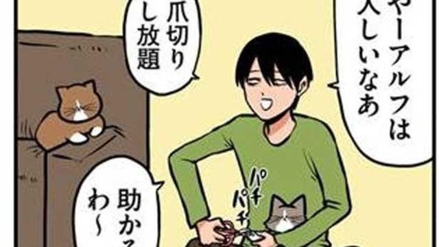 痛い痛い 助けて 想像を絶する 生後3ヶ月の子猫との生活 鴻池剛と猫のぽんた ニャアアアン Antenna アンテナ