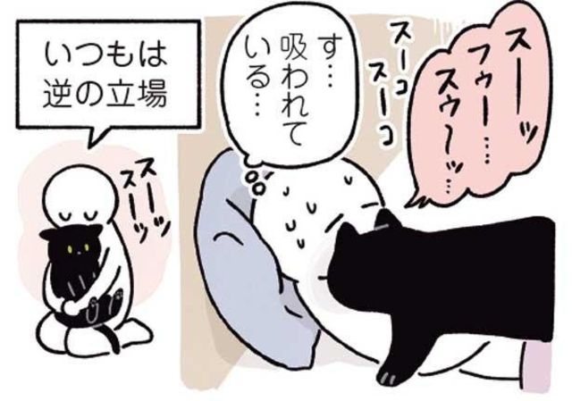 人間がねこを吸うように ねこも人間を吸いたい時が 黒猫ろんと暮らしたら３ Antenna アンテナ