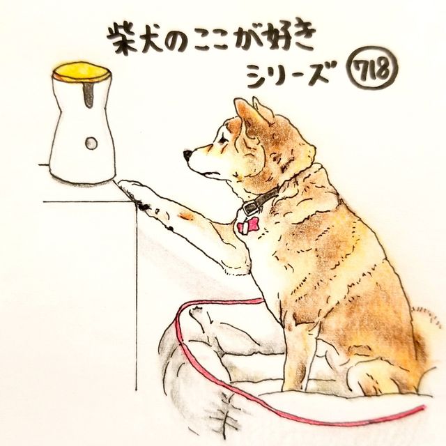 柴犬あるある こうすればこうなる と仕組みを理解していること 連載 ここ掘れここ柴 Vol 118 Antenna アンテナ