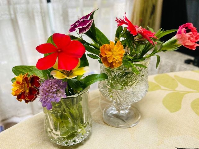 セリア の ショットグラス が意外なものに使える 簡単でかわいいミニ花瓶に Antenna アンテナ