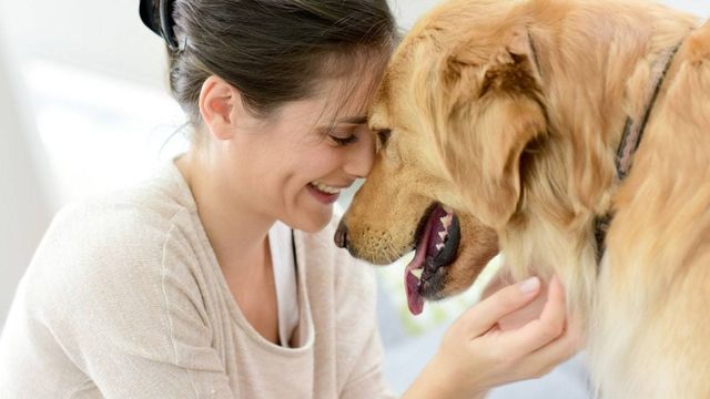 犬を叱るときはマズルをつかむって本当 しつけの噂をジャッジ Antenna アンテナ