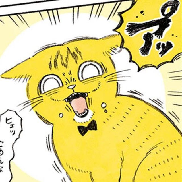 漫画 思ったより器用 まるでクリームパン 可愛らしい猫のおててから繰り出される必殺技とは 茶トラのやっちゃん Antenna アンテナ