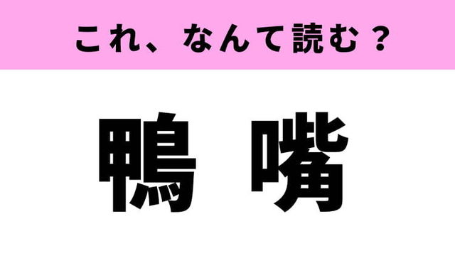 動物の難読漢字クイズ11問 読み方が難しい陸 海の生き物をセレクト Antenna アンテナ