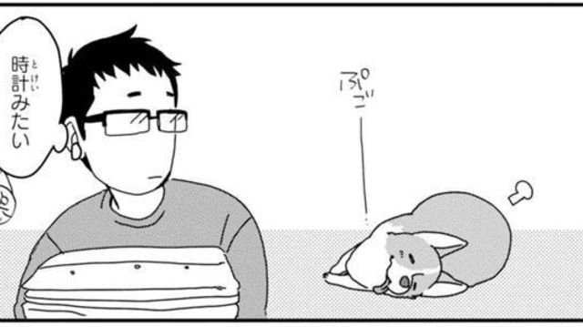 やめないでよ なでなで要求強めのコーギーの前で まさに 化した件 あしょんでよッ うちの犬ログ 9 Antenna アンテナ