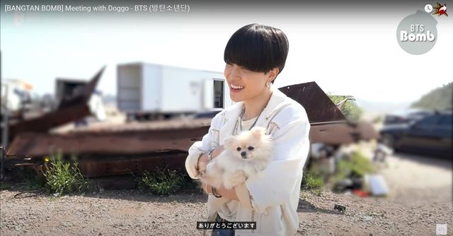 Bts 撮影現場に現れた犬にメロメロ ジミン 正直 僕のほうがかわいい Antenna アンテナ