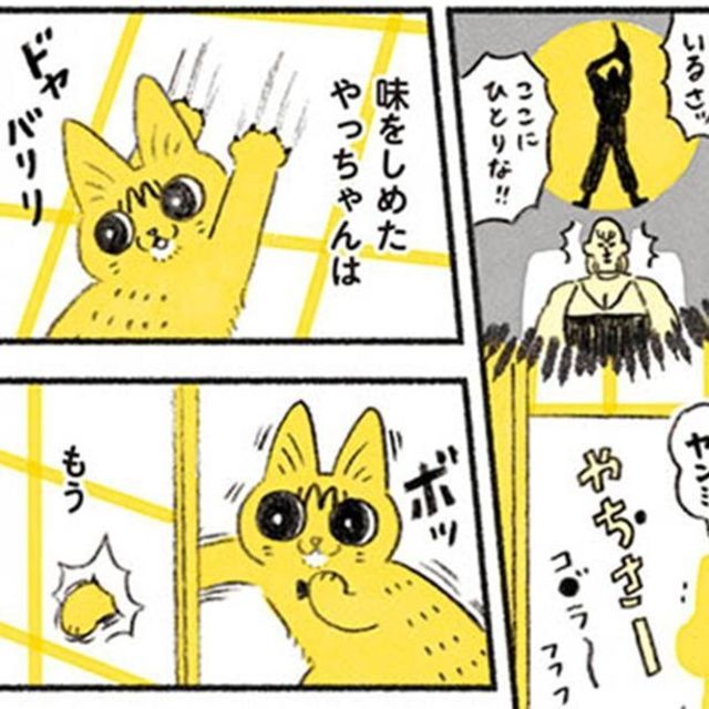 漫画 誰にもとめられない 障子を破る快感を覚えてしまったやっちゃん プラスチック製に交換して対策してみたら 茶トラのやっちゃん Antenna アンテナ