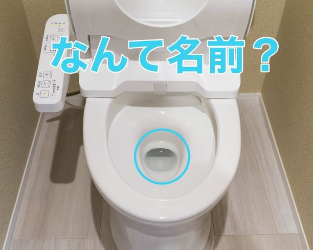 なんて名前 トイレの底にたまっている水にも名前があった Antenna アンテナ