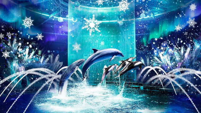 大阪 海遊館 閉店後の水族館 で夜イベント 静寂な海の世界をゆったり体感 Antenna アンテナ