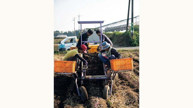 廃油から作れる 廃油肥料の作り方と使い道 Antenna アンテナ