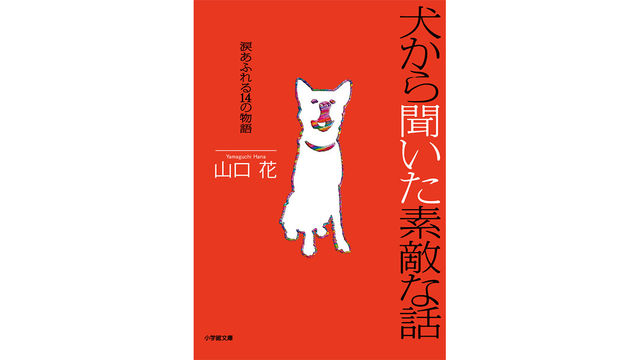 幸せになりたいなら 犬を飼うといい 犬から聞いた素敵な話 Antenna アンテナ