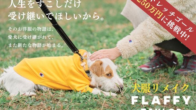 ダウン症の小学生を支えるテリア犬は 兄であり弟であり親友 Antenna アンテナ