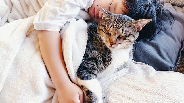 寂しがり屋な犬の特徴5つ Antenna アンテナ 寂しがり屋な犬の特徴5つ Antenna アンテナ