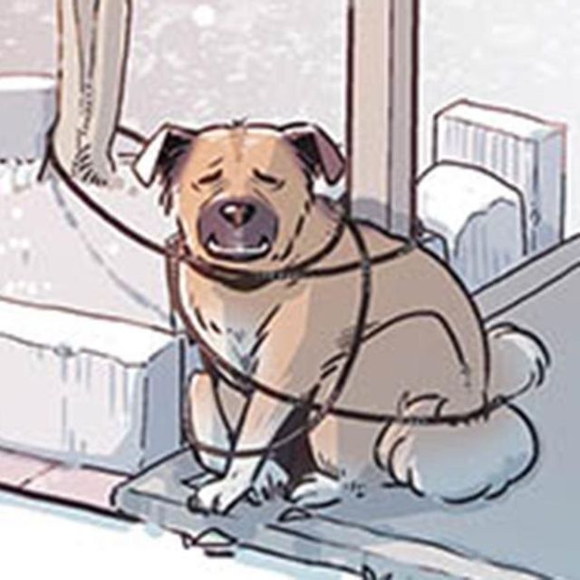 漫画 雨の日の散歩はレインコートで 乾かして畳んでいたら ゴンさんがこっちを見つめている 雑種犬ゴンさんがダサかわいい Antenna アンテナ