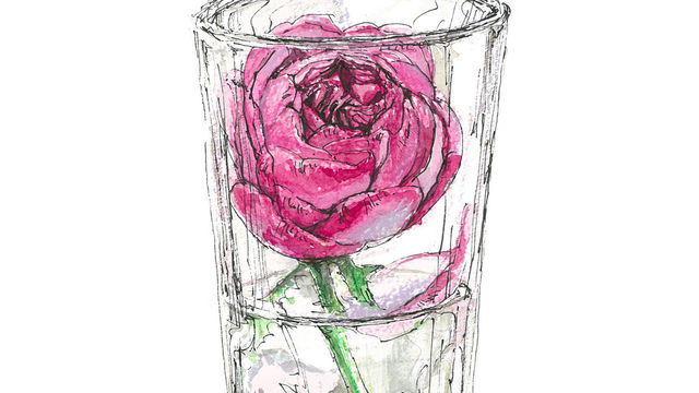 2月11日の花 イブピアッチェ ダマスク系の香りを放つ華麗なバラ Antenna アンテナ