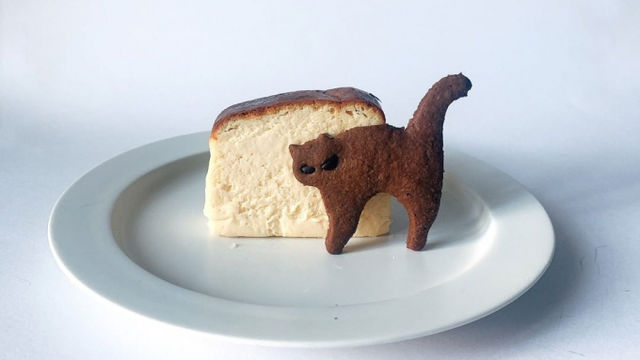 ワンダおばさんのお店 チーズケーキ Antenna アンテナ